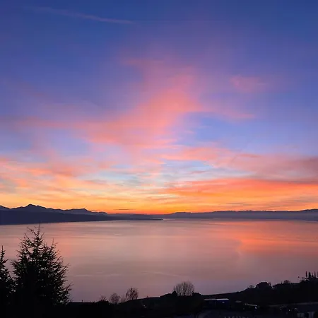 Premium With Jacuzzi & Panoramic View Lavaux Villa